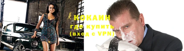 индика Абаза