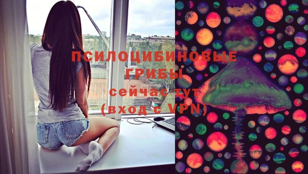 индика Абаза
