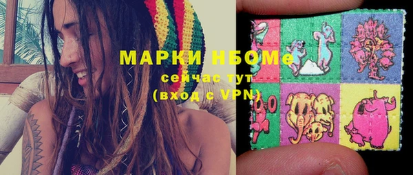 индика Абаза