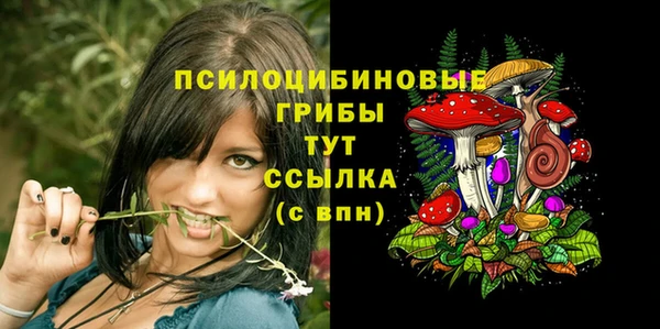шишки Алзамай