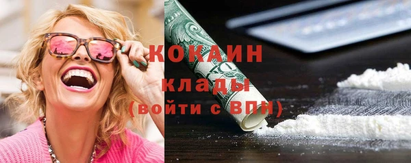 индика Абаза