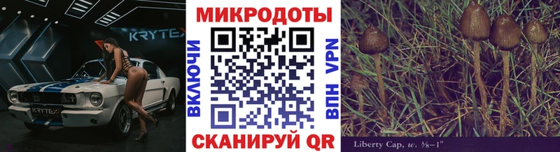 Псилоцибиновые грибы мицелий  Краснозаводск 